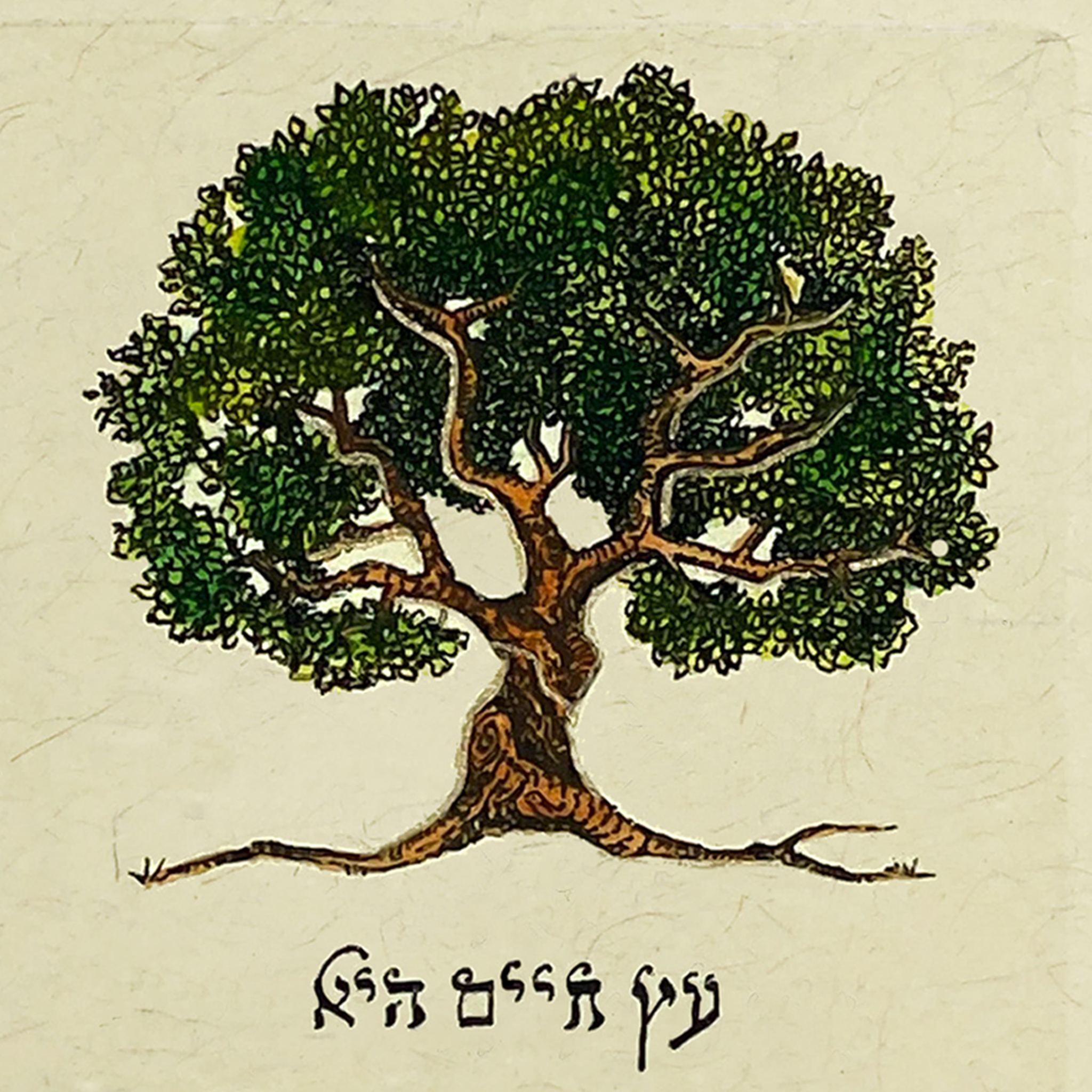 Tree Of Life - Hebrew