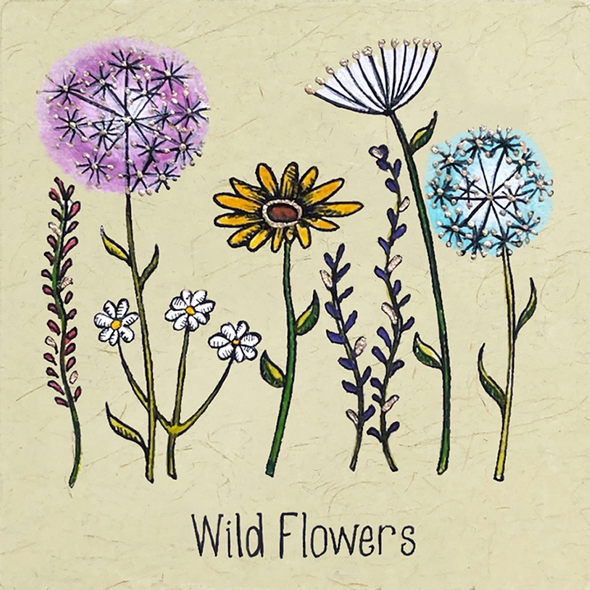 Wild Flowers