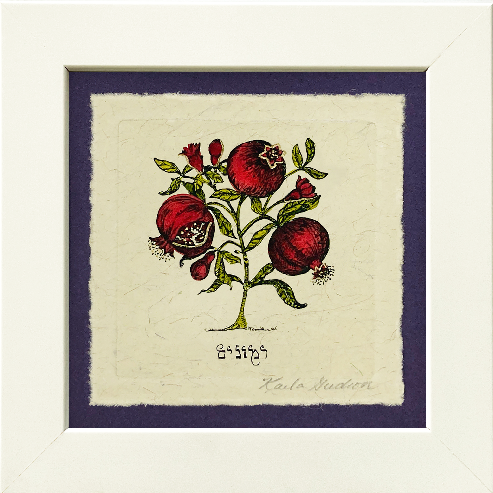 Pomegranates - Hebrew