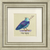 Song Bird - Hebrew