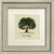 Tree Of Life - Hebrew