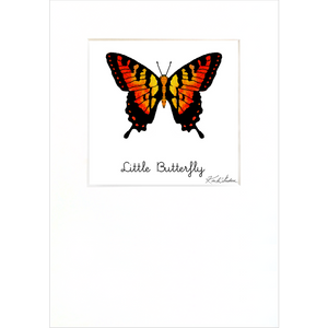 Little Butterfly