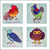 Birds of a Feather Coasters