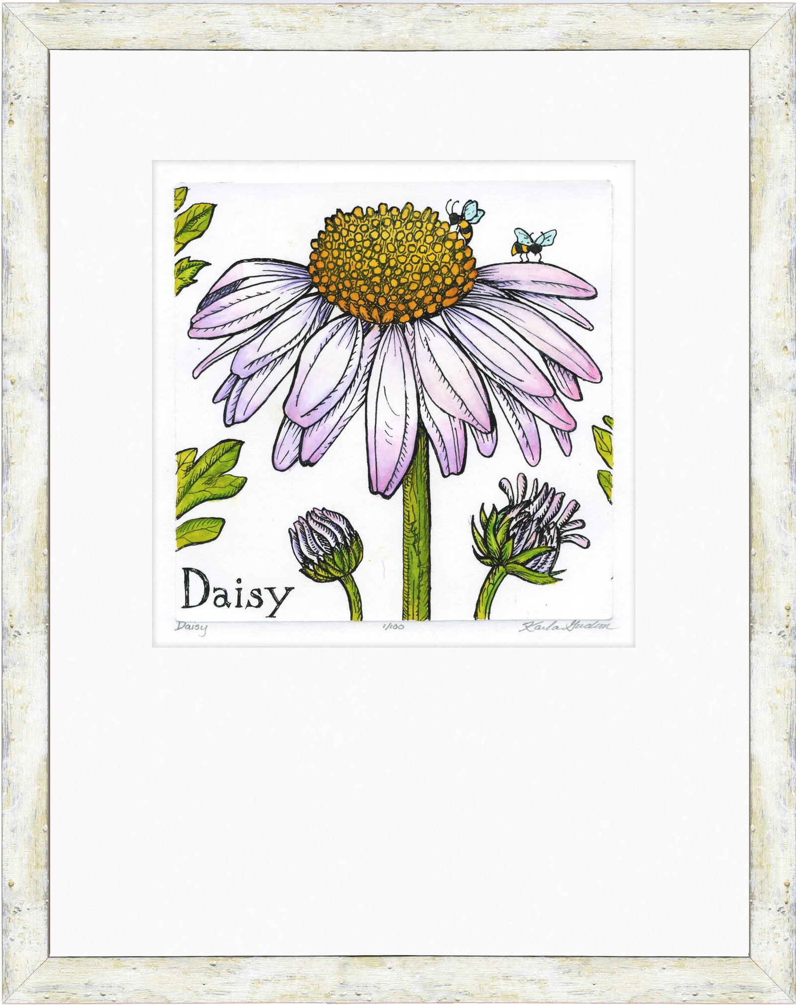 Daisy