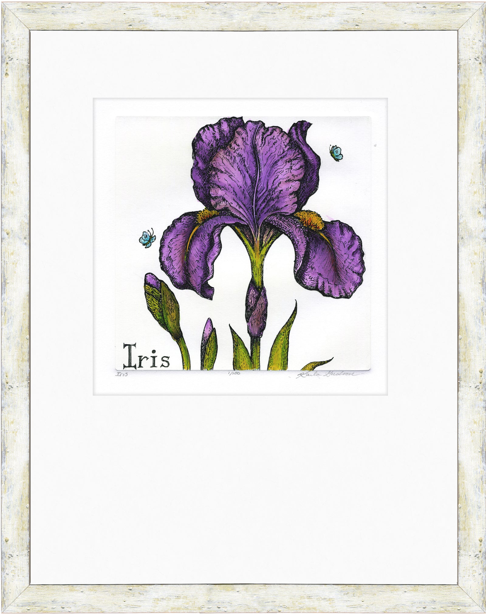 Iris