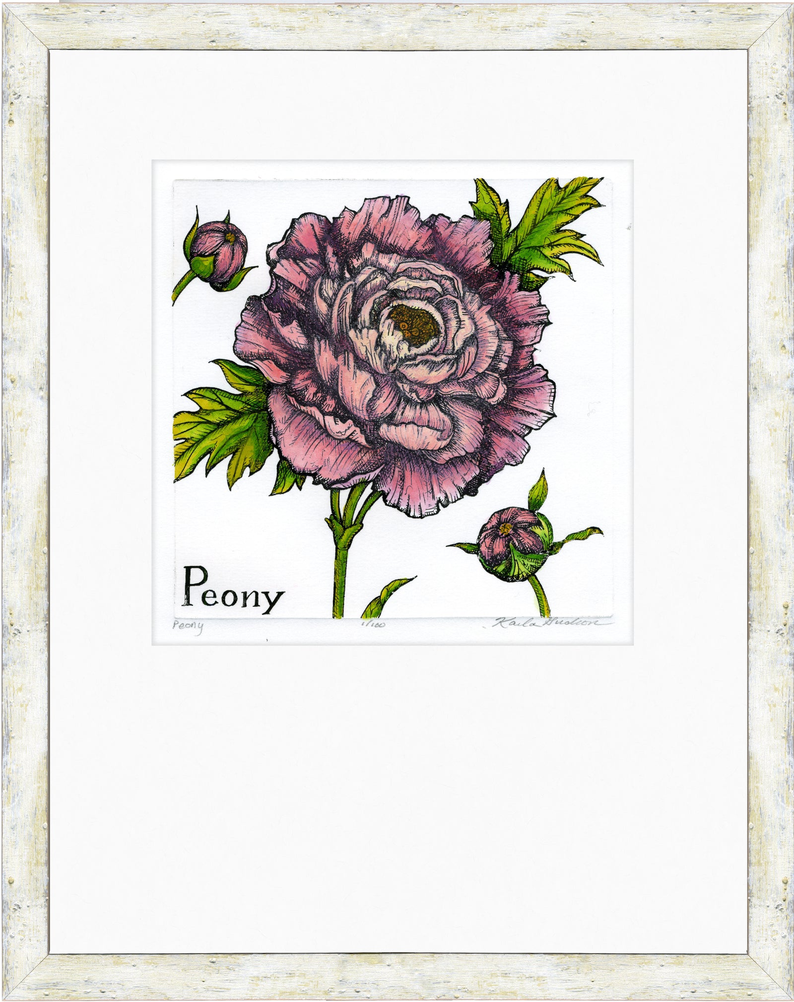 Peony