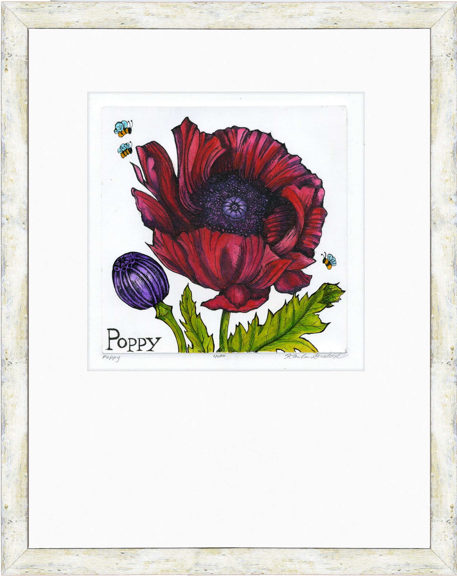 Poppy
