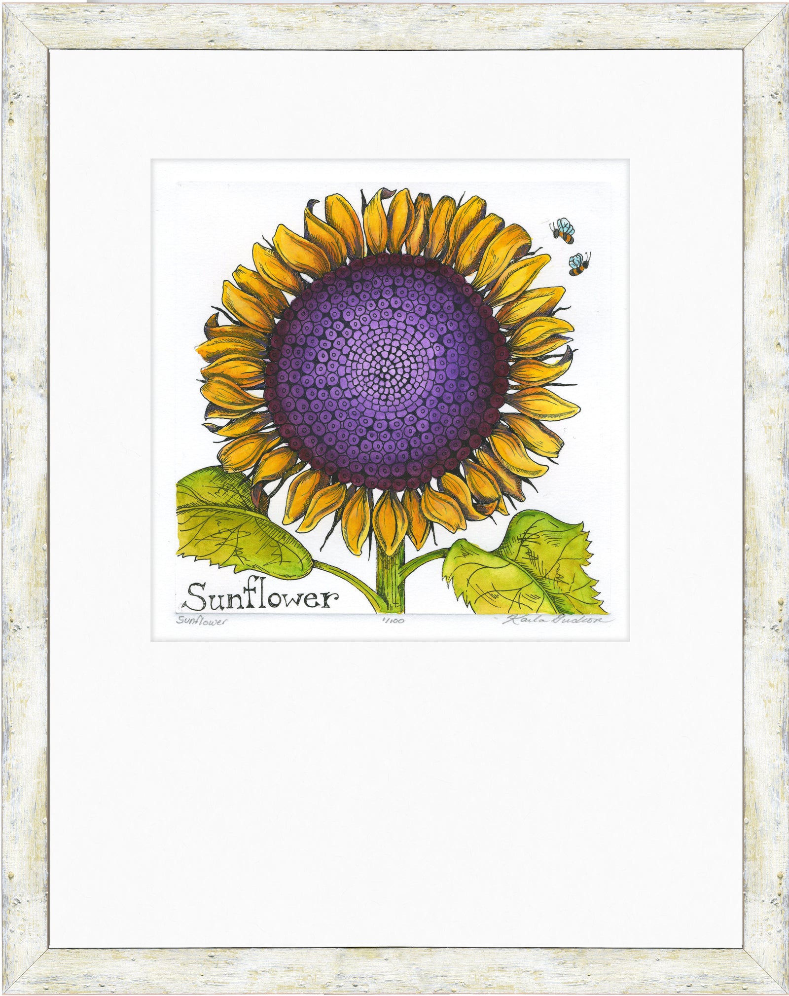 Sunflower
