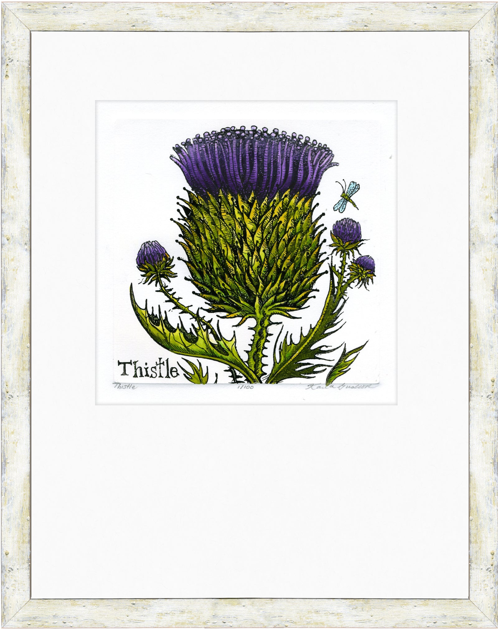 Thistle